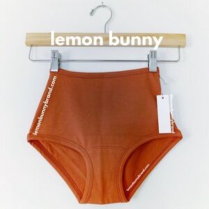 ARQ High Rise Undies in Rust Burnt Orange Size XXS Brand New NWT